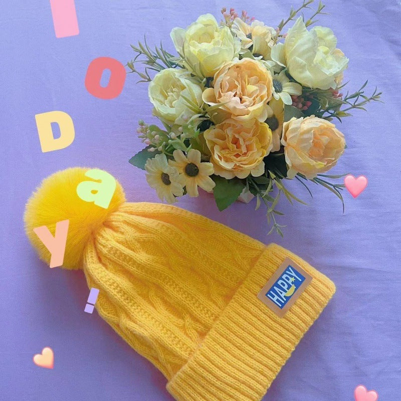 Winter New Happy Plush Women's Warm Thickened Knitted Hat Versatile Double-layer Ear Protection Hat