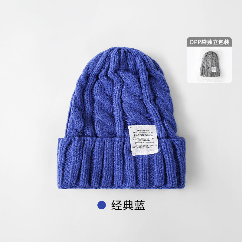 Solid Color Twist Female Autumn and Winter Student Warm Ear Protection Knitted Hat Couple Versatile Cold Hat