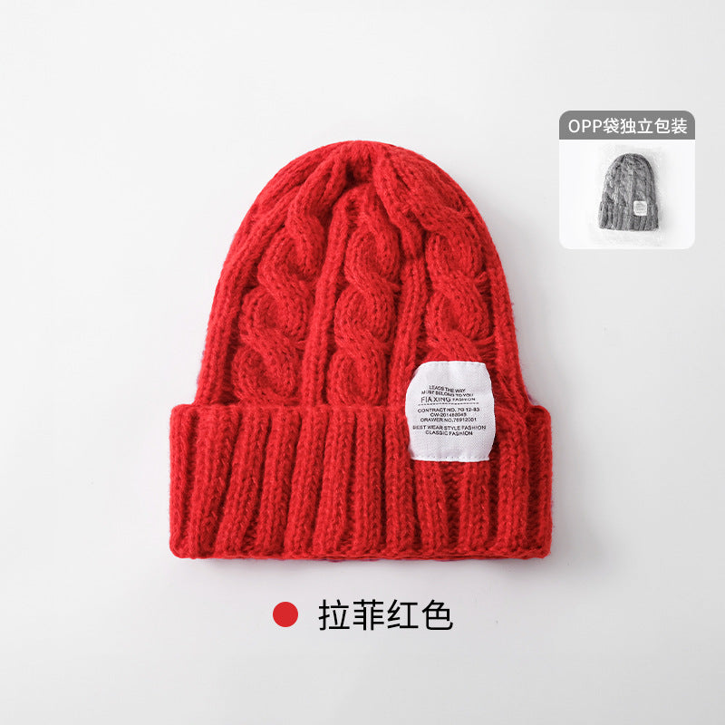 Solid Color Twist Female Autumn and Winter Student Warm Ear Protection Knitted Hat Couple Versatile Cold Hat