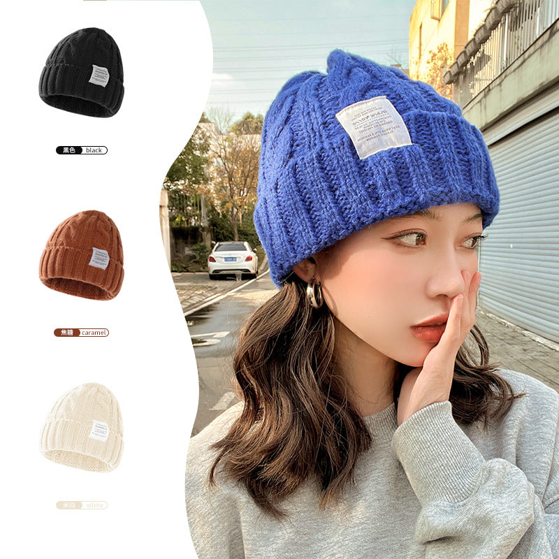 Solid Color Twist Female Autumn and Winter Student Warm Ear Protection Knitted Hat Couple Versatile Cold Hat