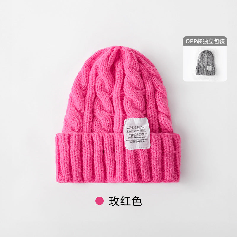 Solid Color Twist Female Autumn and Winter Student Warm Ear Protection Knitted Hat Couple Versatile Cold Hat