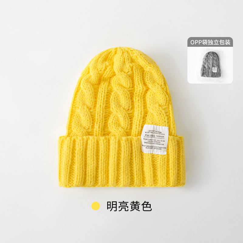 Solid Color Twist Female Autumn and Winter Student Warm Ear Protection Knitted Hat Couple Versatile Cold Hat