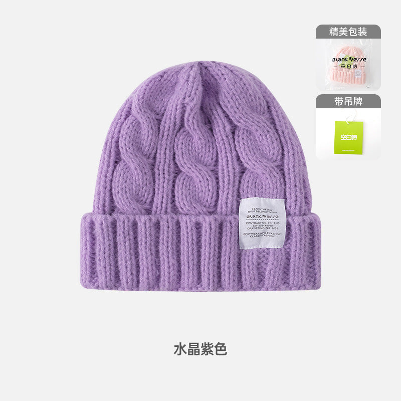 Solid Color Twist Female Autumn and Winter Student Warm Ear Protection Knitted Hat Couple Versatile Cold Hat