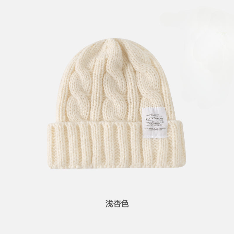 Solid Color Twist Female Autumn and Winter Student Warm Ear Protection Knitted Hat Couple Versatile Cold Hat