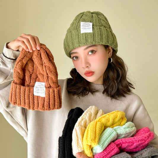 Solid Color Twist Female Autumn and Winter Student Warm Ear Protection Knitted Hat Couple Versatile Cold Hat