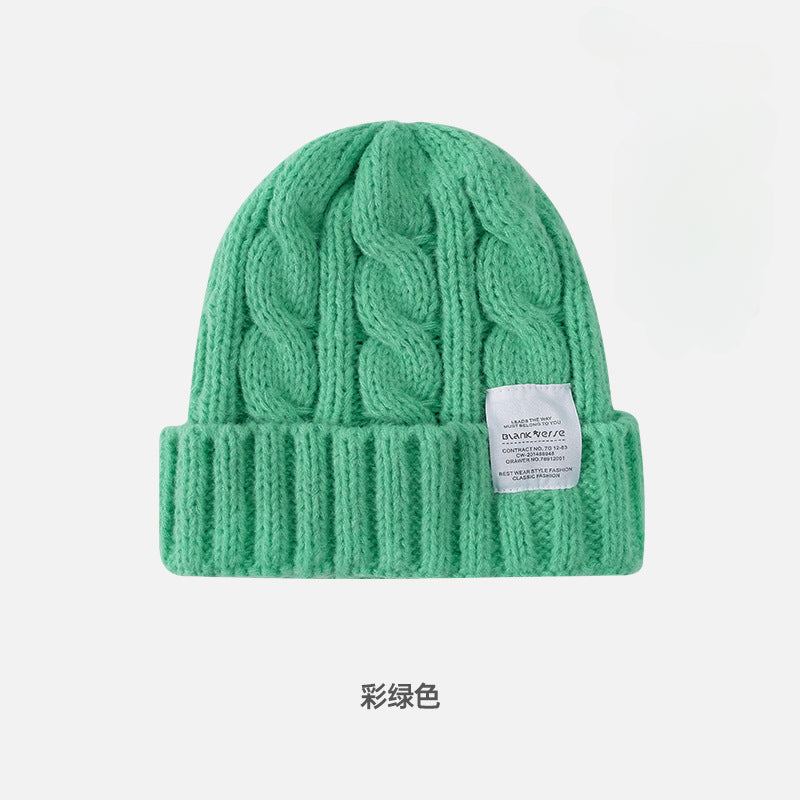 Solid Color Twist Female Autumn and Winter Student Warm Ear Protection Knitted Hat Couple Versatile Cold Hat